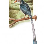 Dibujo artístico del ave prehistórica hallada en Brasil.