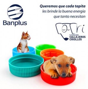 Banplus tiende mano a mascotas callejeras