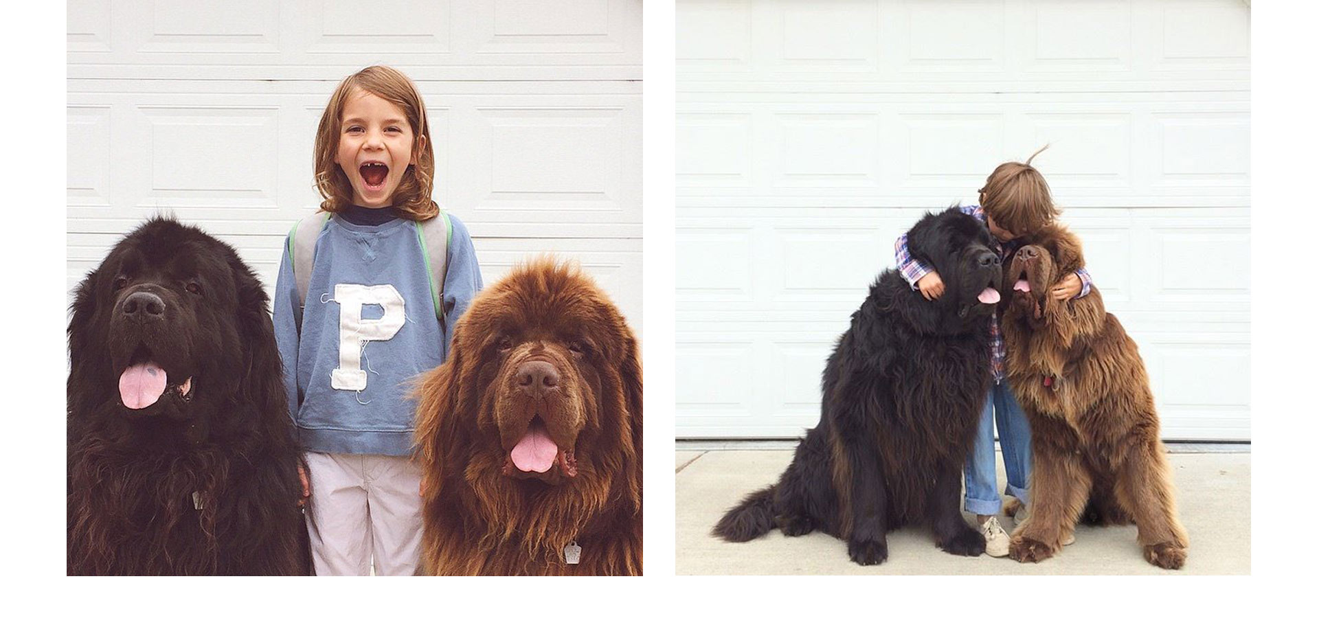 Este niño se lo pasa muy bien con sus perros y su mamá se ha encargado de fotografiar esos bellos momentos