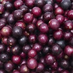 La variedad de esta uva de piel gruesa y pepitas grandes se da en el sur del estado y se emplea para elaborar vino y jugos