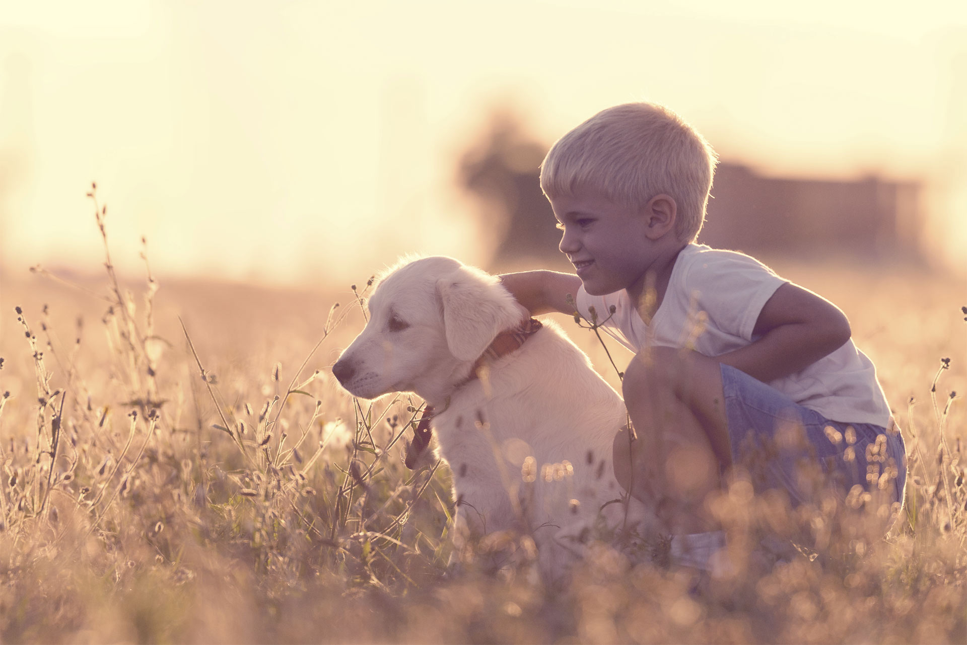 Un estudio en España reveló que 94% de infantes afirma sentirse mejor con un animal de compañía cerca