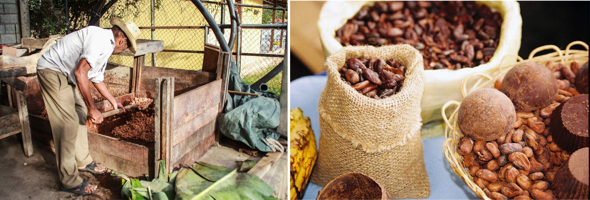 "Foto Cacao Venezuela" ya tiene los ganadores de la edición de este año, donde fotógrafos captaron la esencia de este producto en imágenes