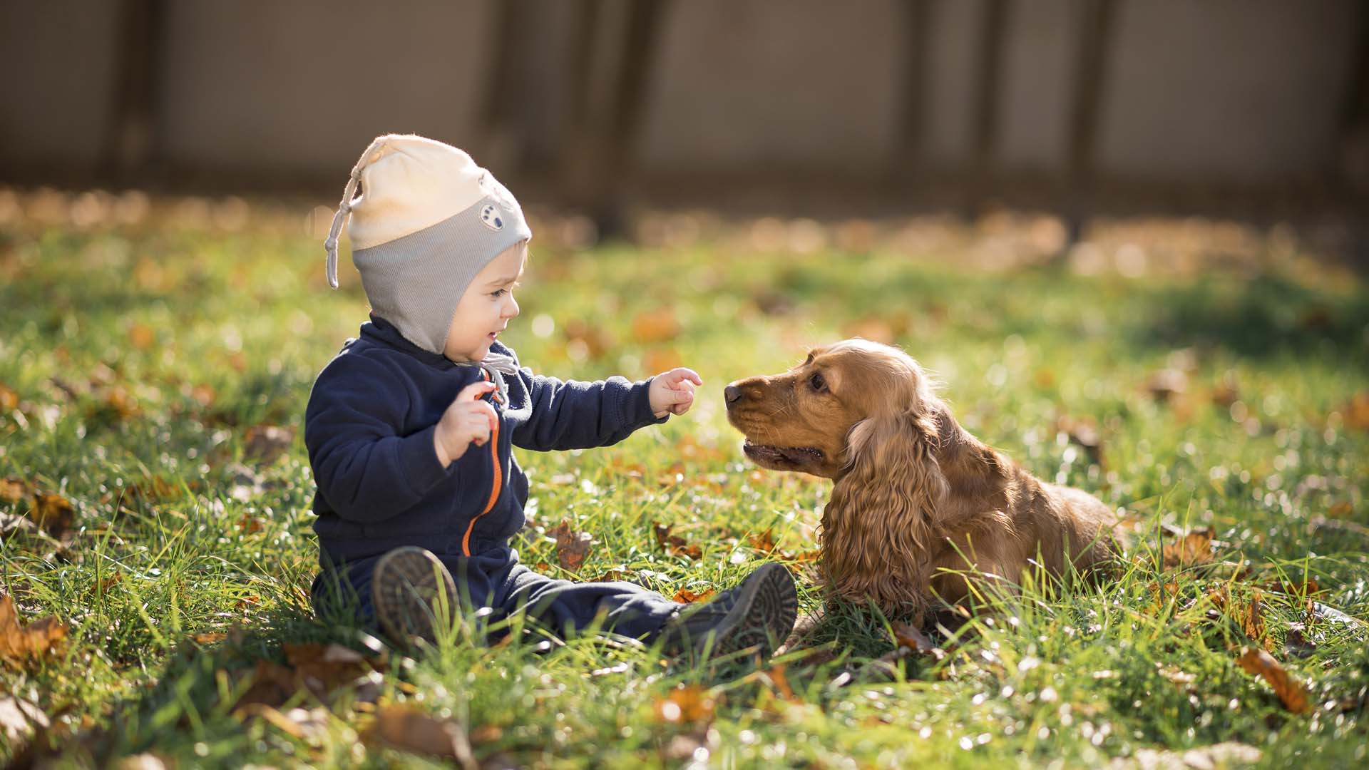Colocar a los bebes en contacto con los caninos los hace más inmune y menos propenso a enfermedades respiratorias