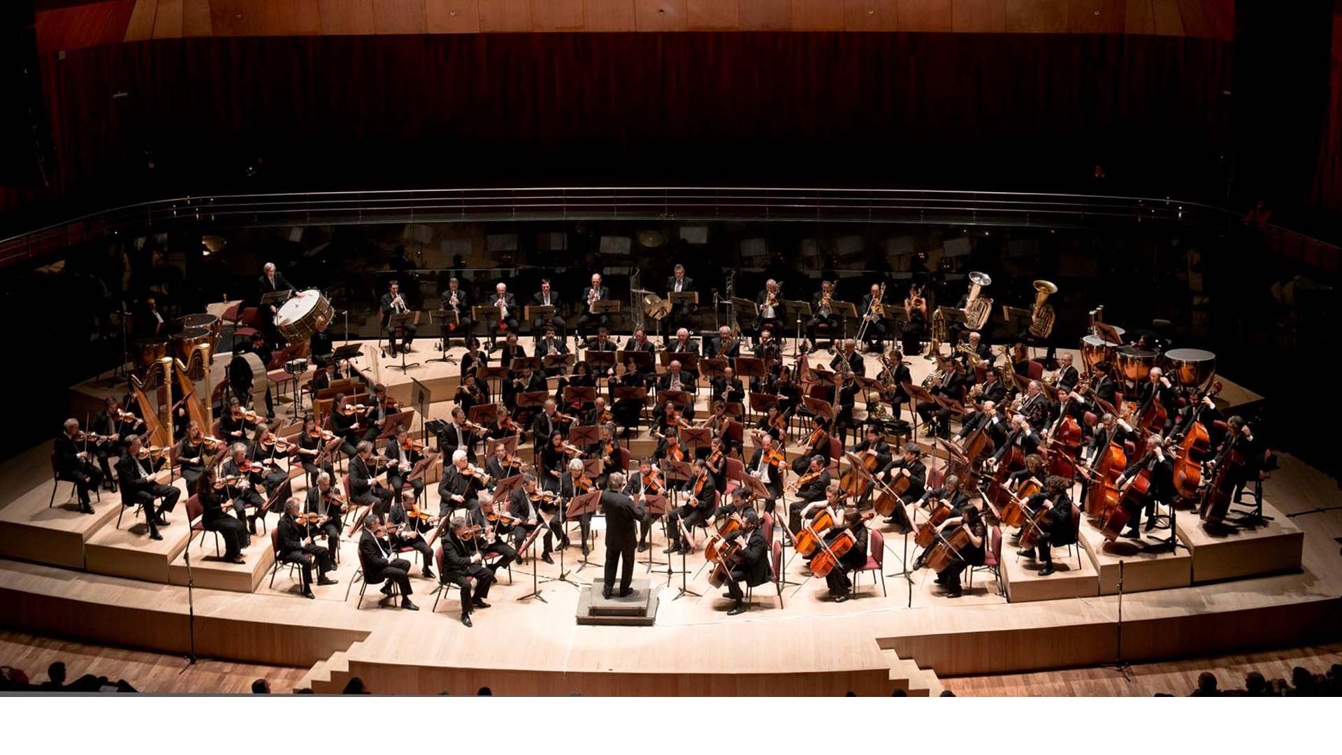 El contrabajista criollo, parte de Filarmónica de Berlín, fue invitado a tocar como jefe de fila en la Sinfónica de Londres