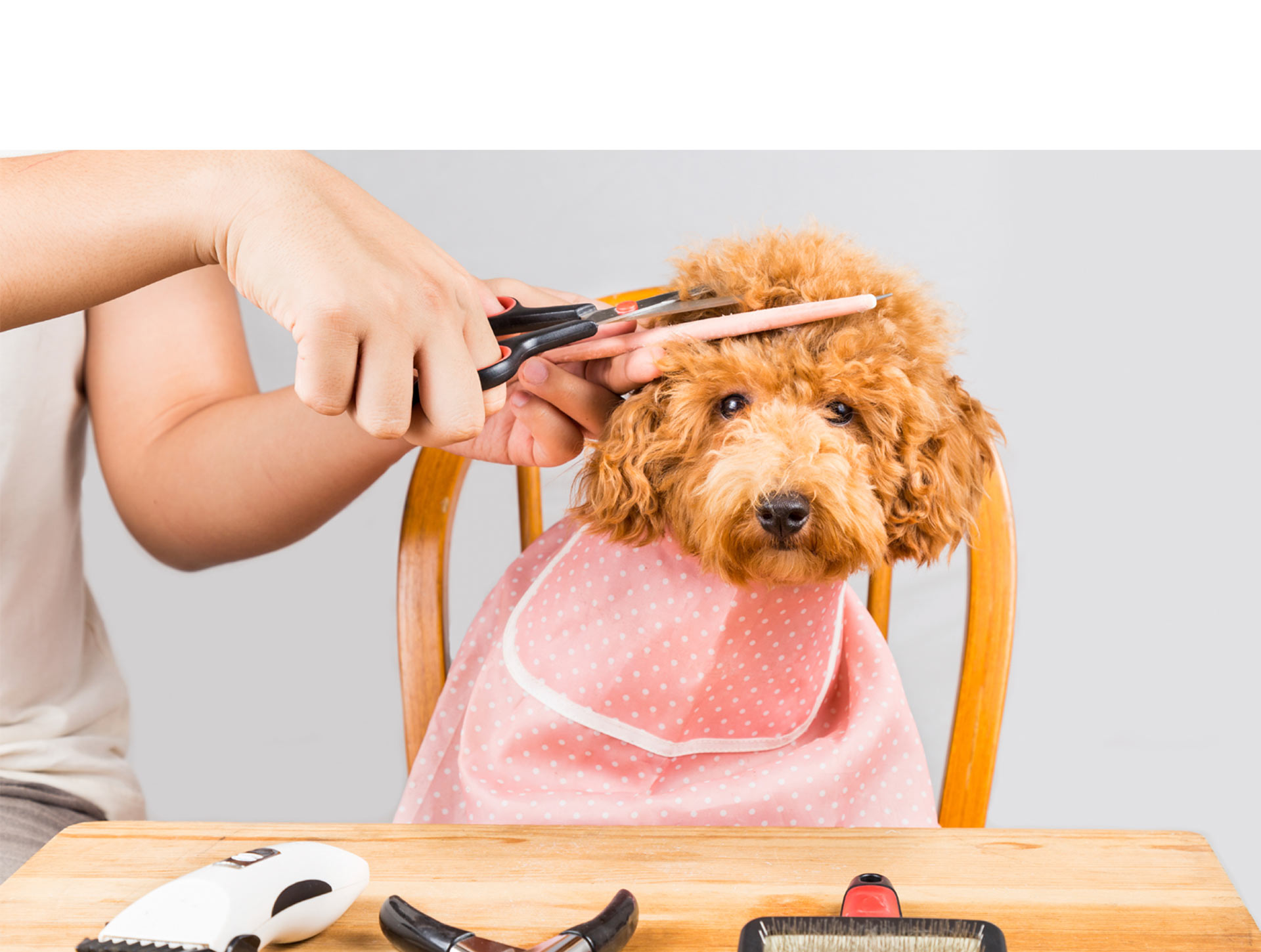 Más allá de mantener su imagen, cuidar el pelaje de tu mascota es necesario para que no se enferme
