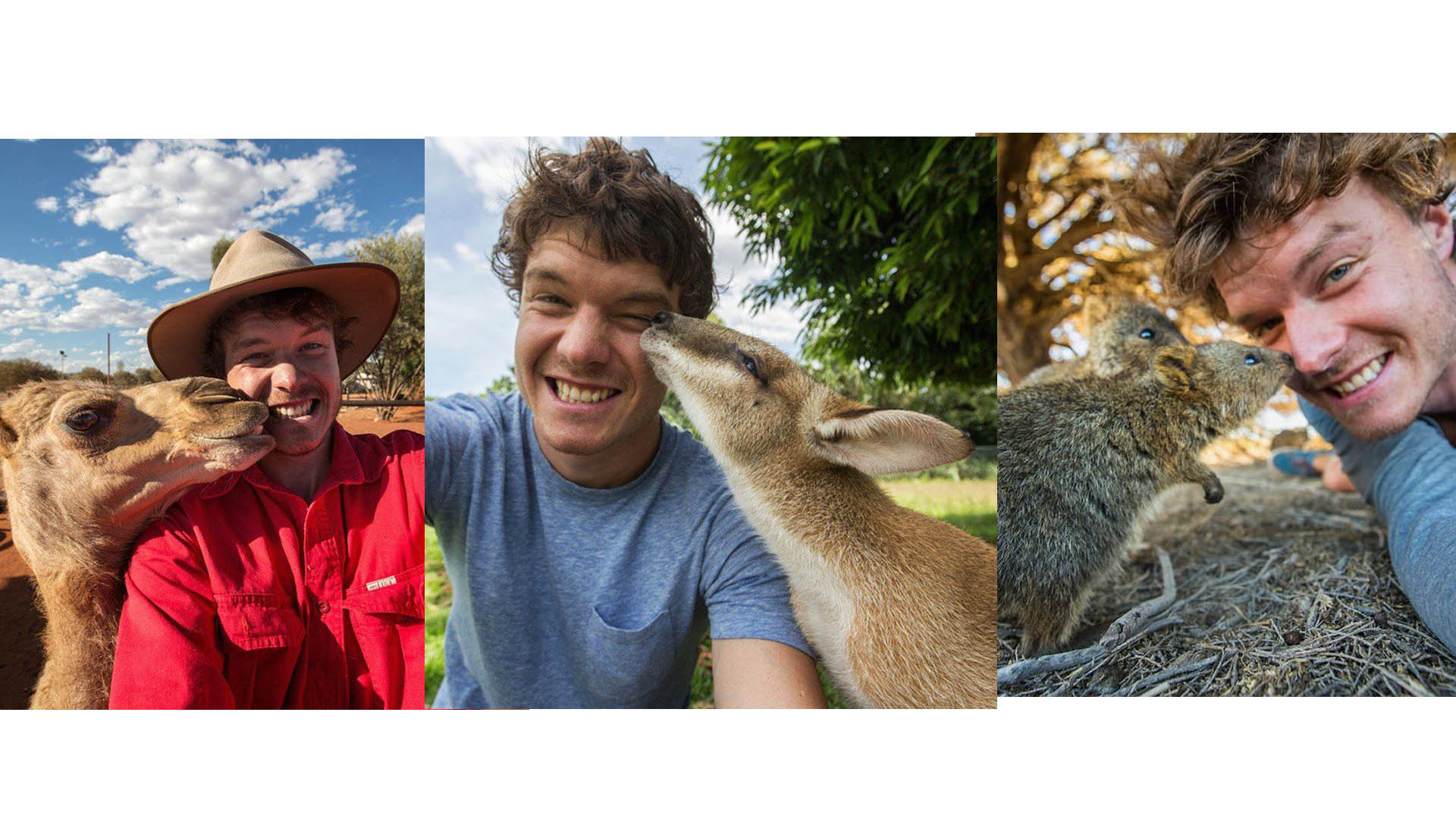 Allan Dixon es un joven que se convirtió en experto en tomarse fotos tipo "selfie" con animales a los cuales parece no molestarle la sesión de fotos