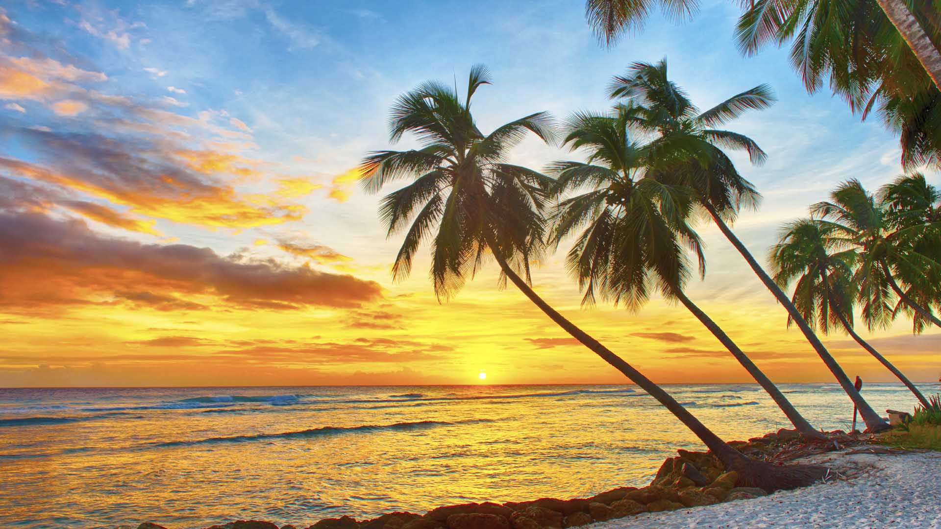 Según el sitio especializado TripAdvidor las playas caribeñas siguen liderando los rankings como los mejores sitios donde vacacionar