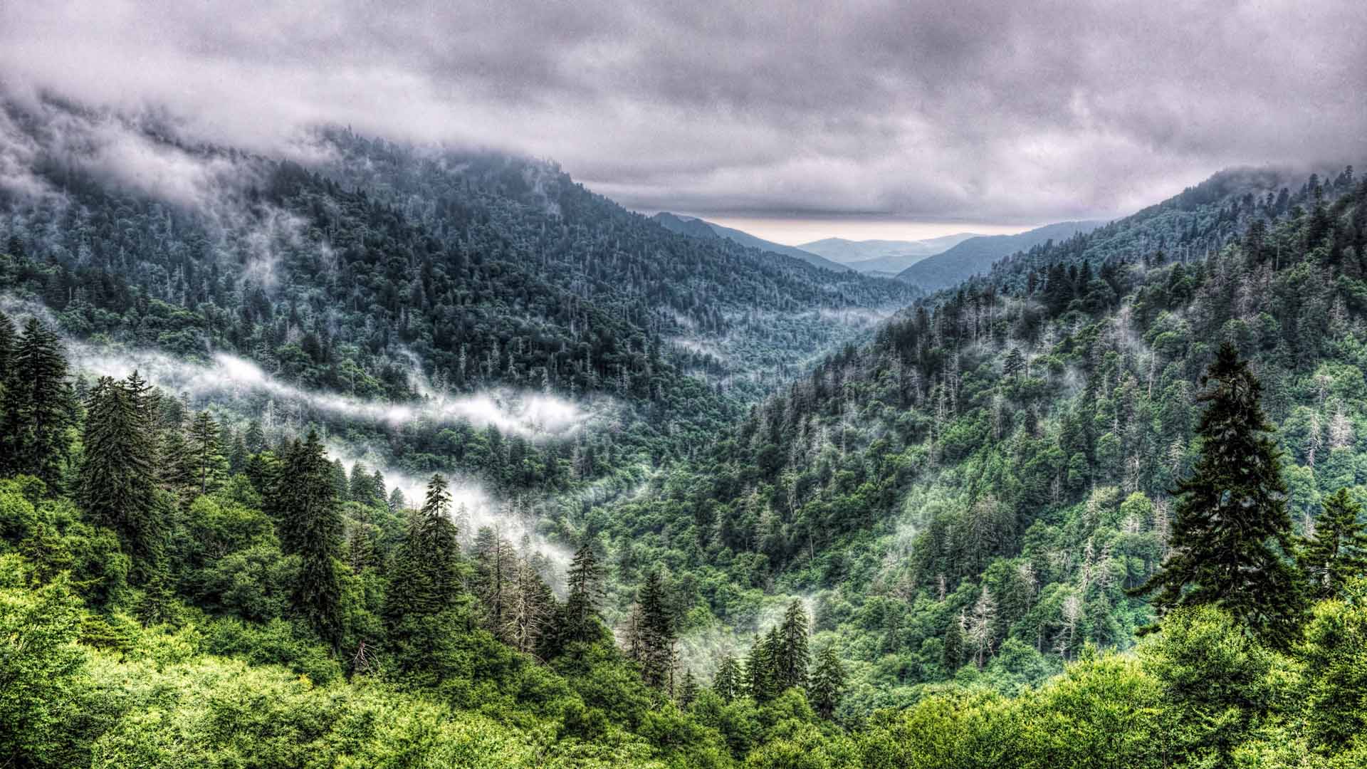 El parque nacional Great Smoky Mountains tuvo más de 10 millones de visitas en 2015