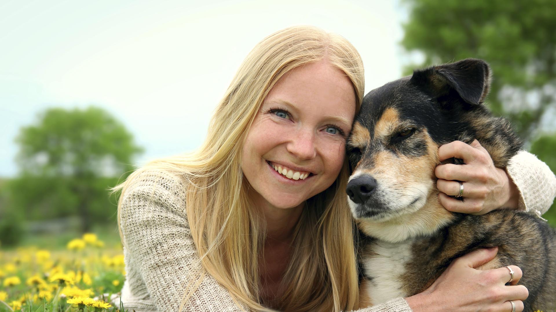 Una asociación australiana utiliza la imagen de una perra mestiza adoptada como muestra de lo que significa encontrar un hogar para los animales
