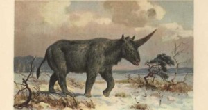 El "unicornio siberiano" pudo haber existido hace 29 mil años