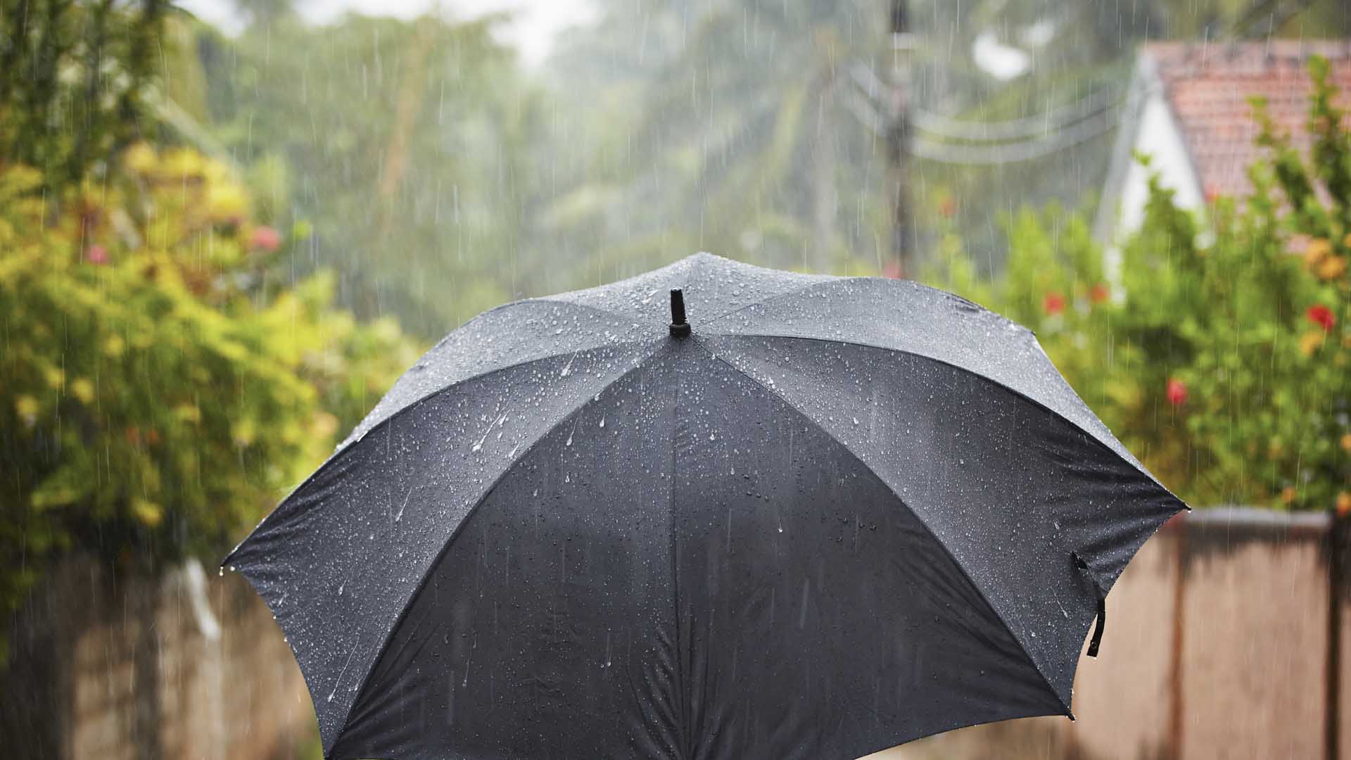 Правильный зонтик. Мокрый зонт. Зонт под дождем. Под зонтиком. Дождевой зонт.