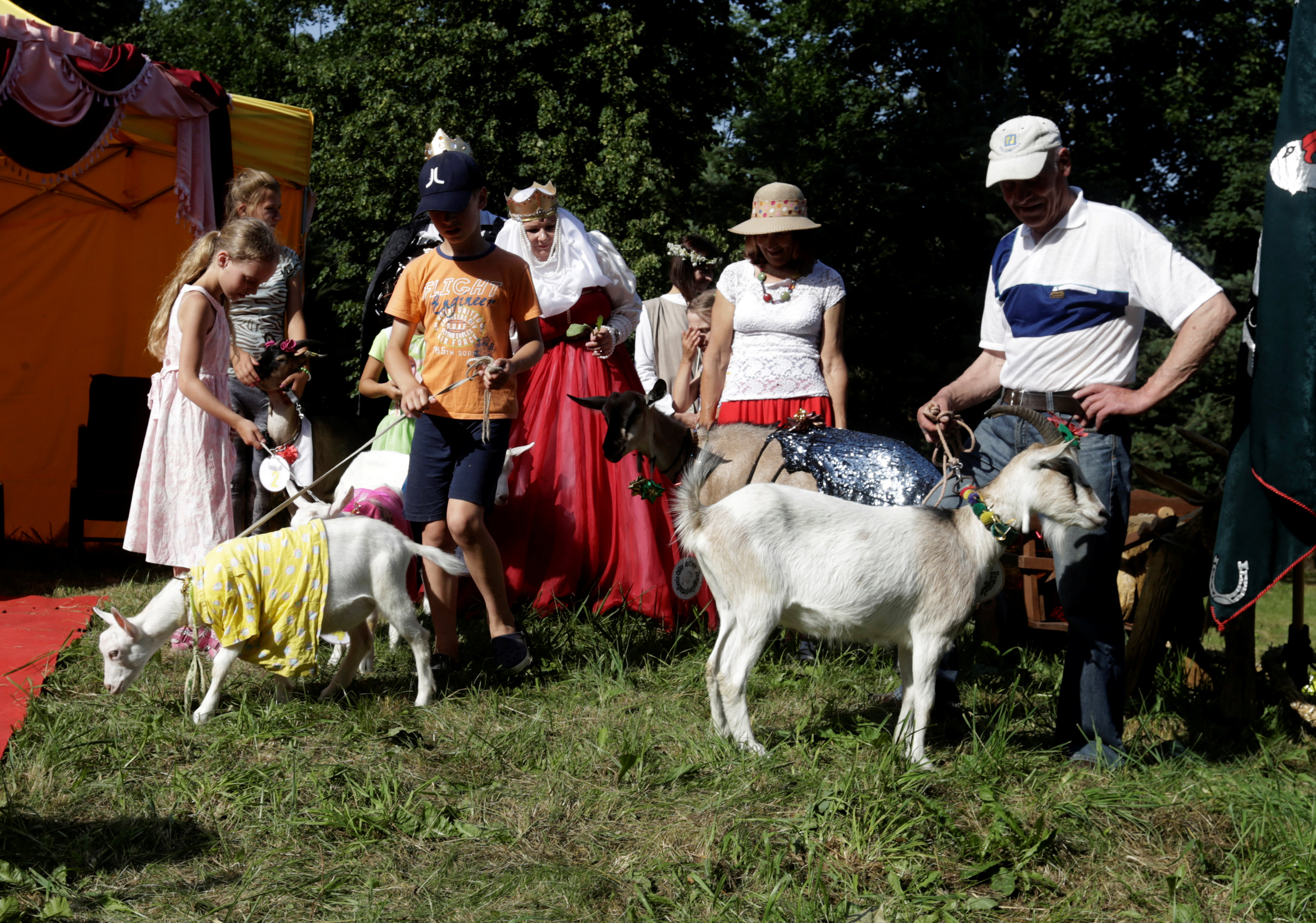 Seis cabras estuvieron peleando por la codiciada corona ante la mirada de cientos de espectadores y el alcalde