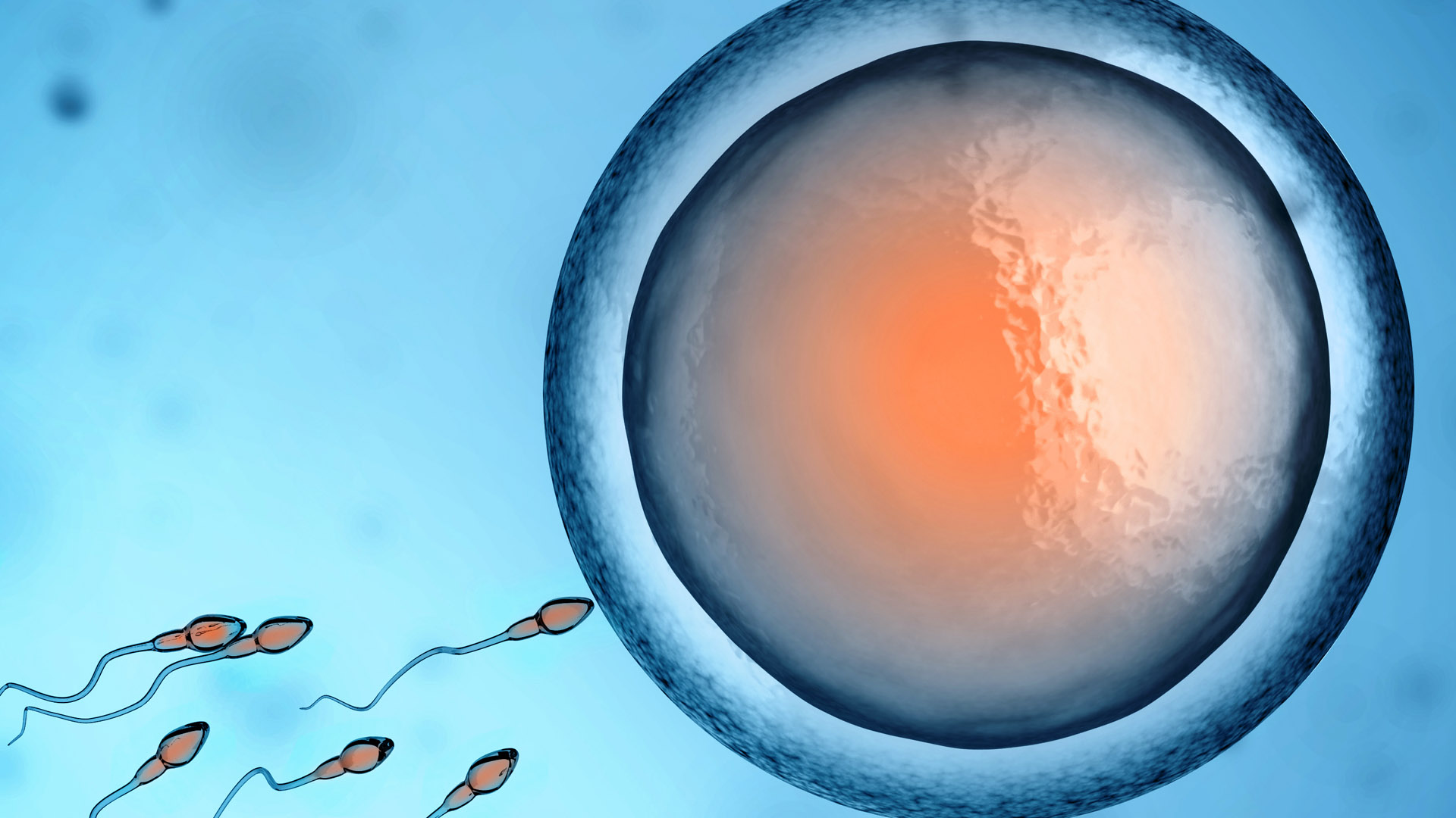 Las causas principales de la infertilidad se manejan en el ámbito psicológico, social y de la salud