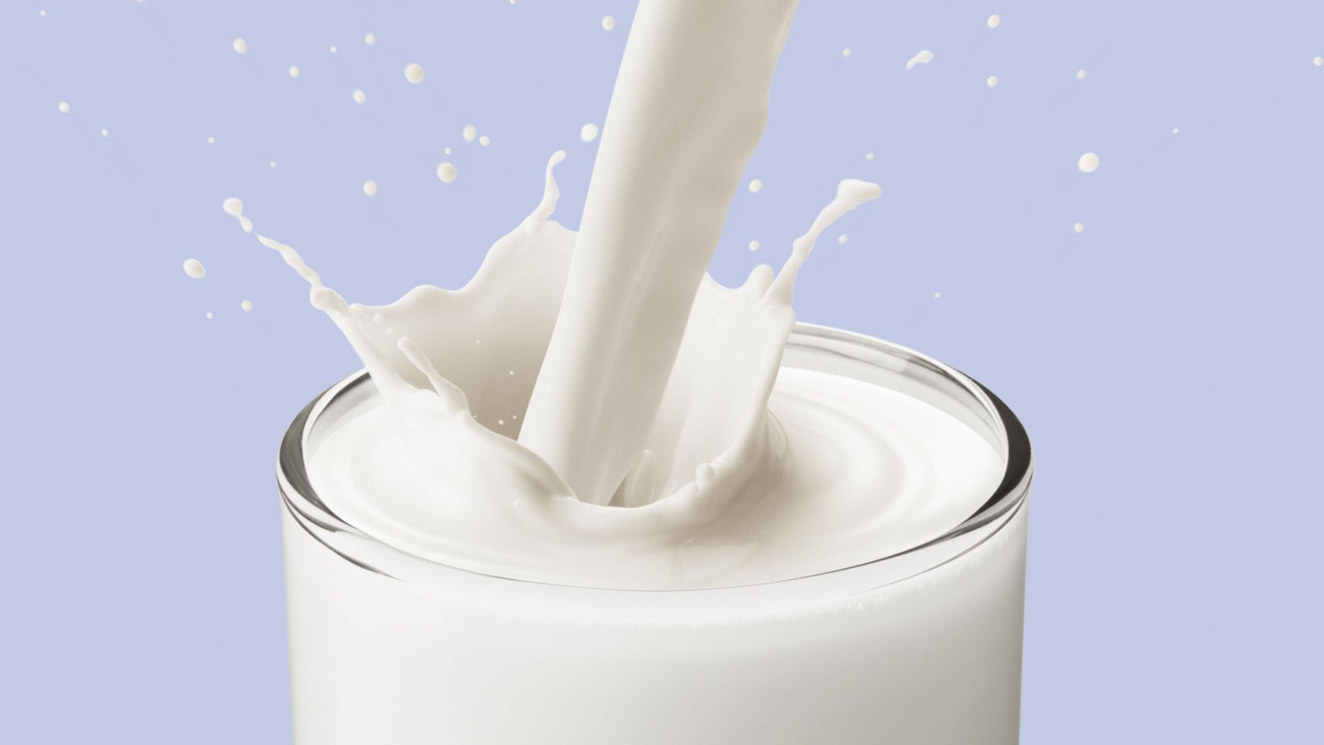 La leche es un alimento práctico que se puede servir tanto en su forma natural, con avena, cereal, pan o como yogurt o queso