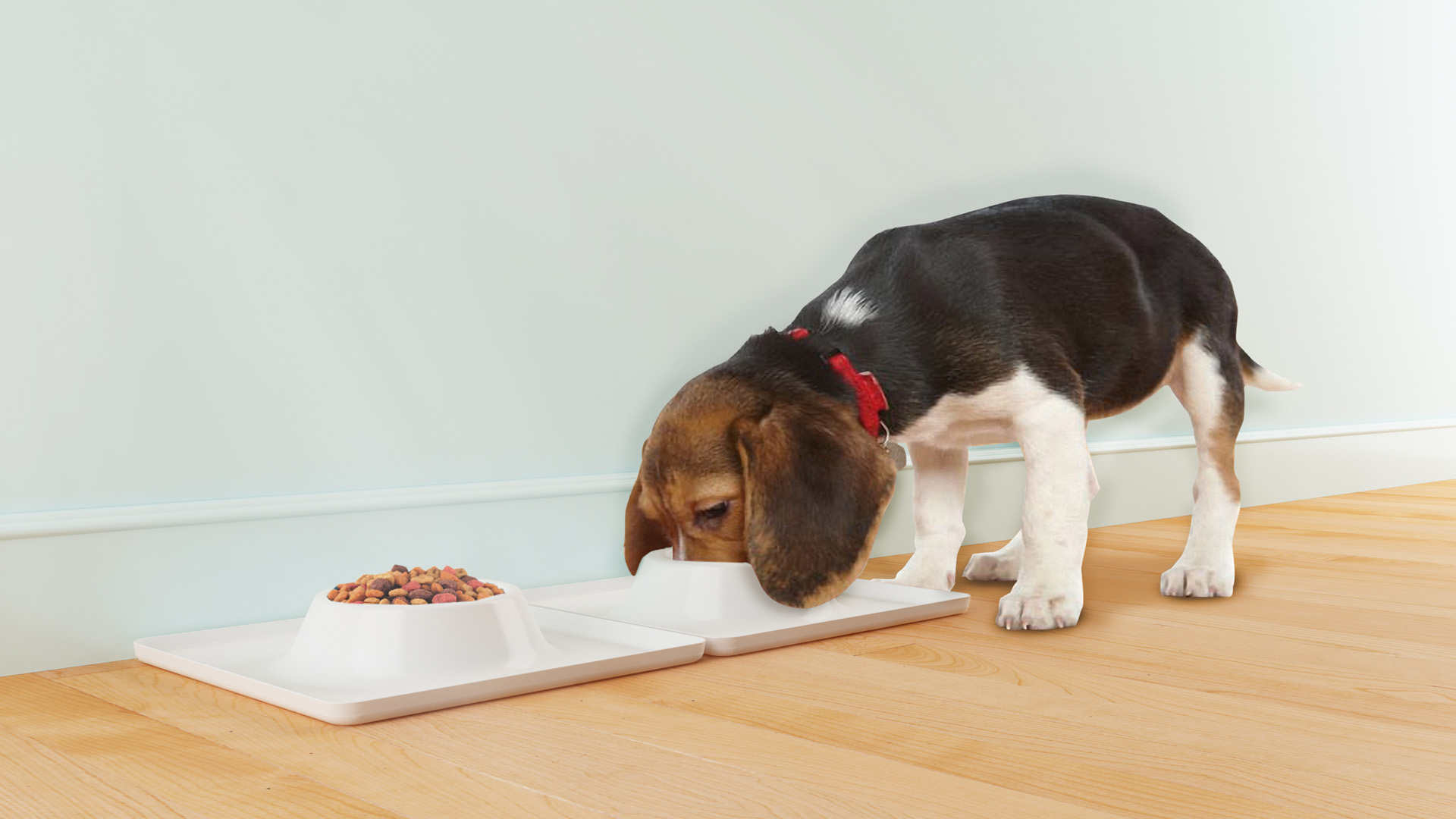 La perrarina puede ser sustituida con comida casera que cumpla con los nutrientes necesarios para el desarrollo canino