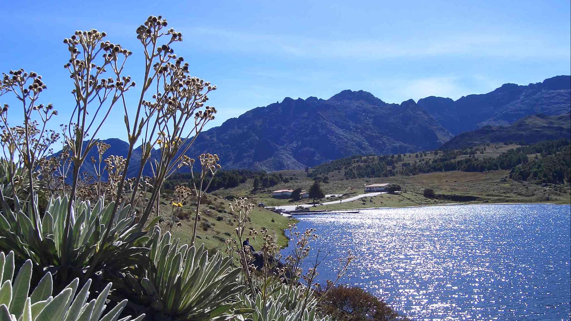 El estado andino recibió 130,3 billones de bolívares gracias al sector turístico