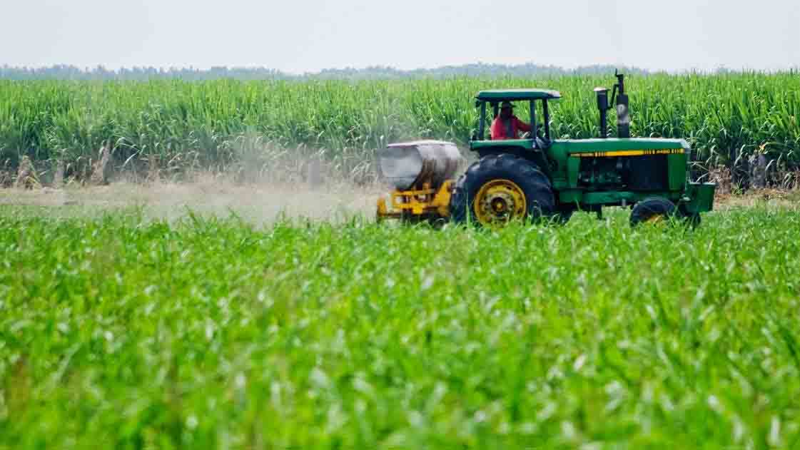 Banca financia millones en proyectos agrícolas