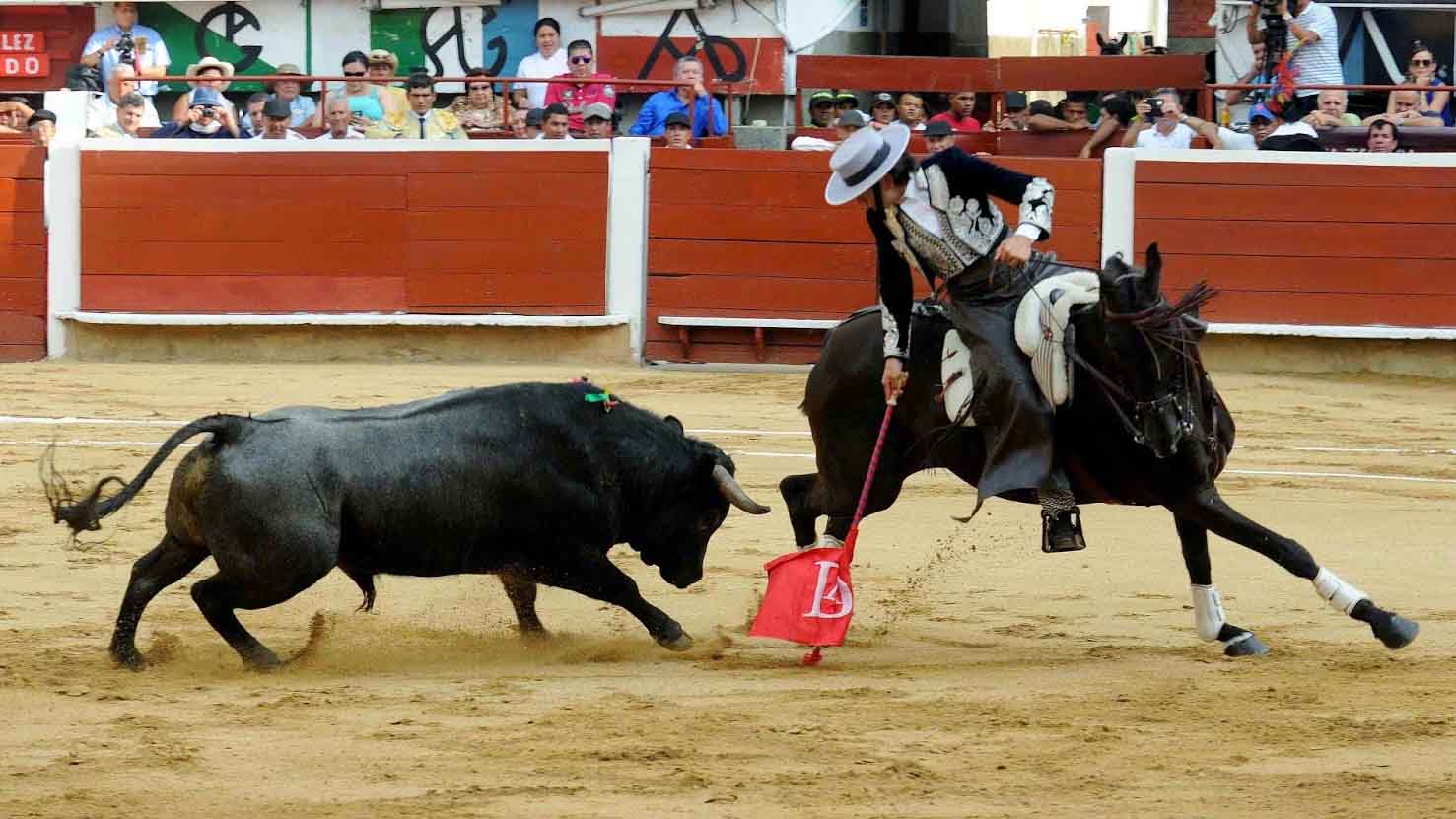 Colombia busca prohibir maltrato de toros en corridas