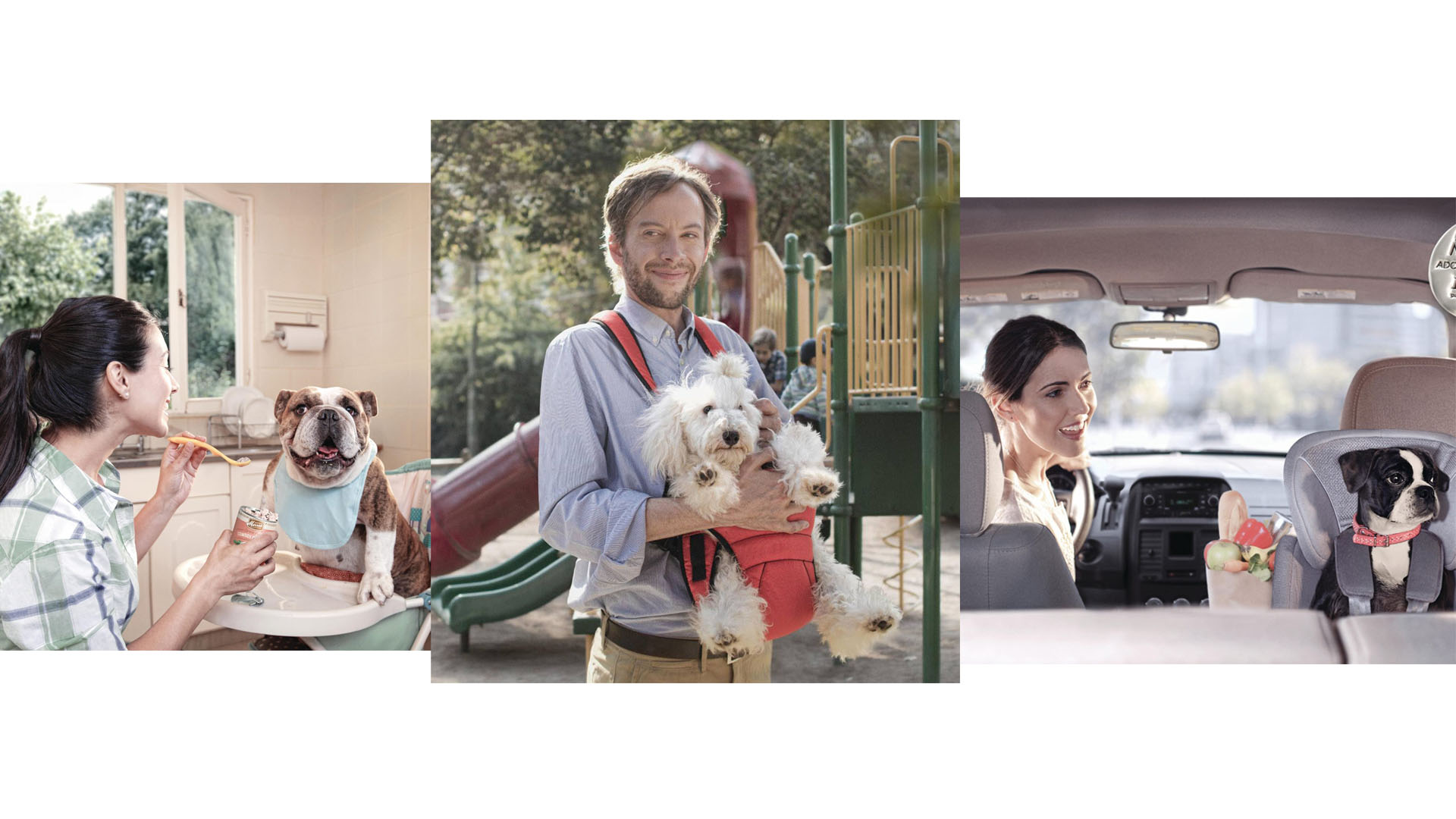 Esta campaña creada en Estados Unidos resalta el compromiso que las personas adquieren cuando tienen una mascota
