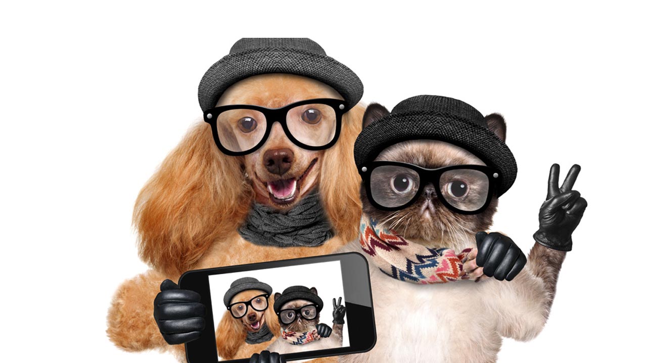 Varios famosos integraron a sus cachorros en las redes sociales para compartir momentos inolvidables