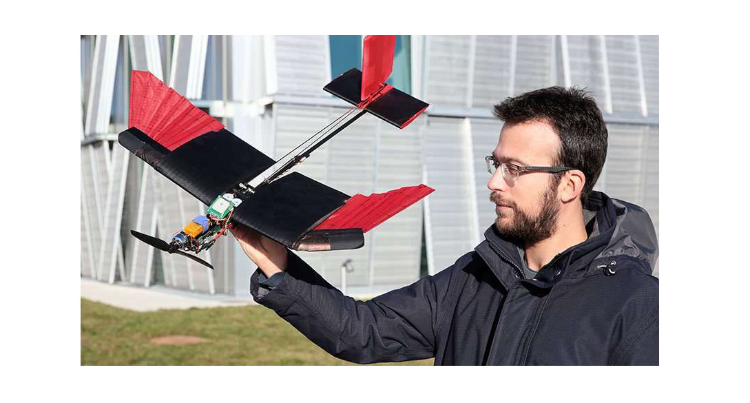 Un grupo de ingenieros de la Escuela Politécnica Federal de Lausana desarrolló un drone que logre recrear a un ave partiendo de sus alas y plumas