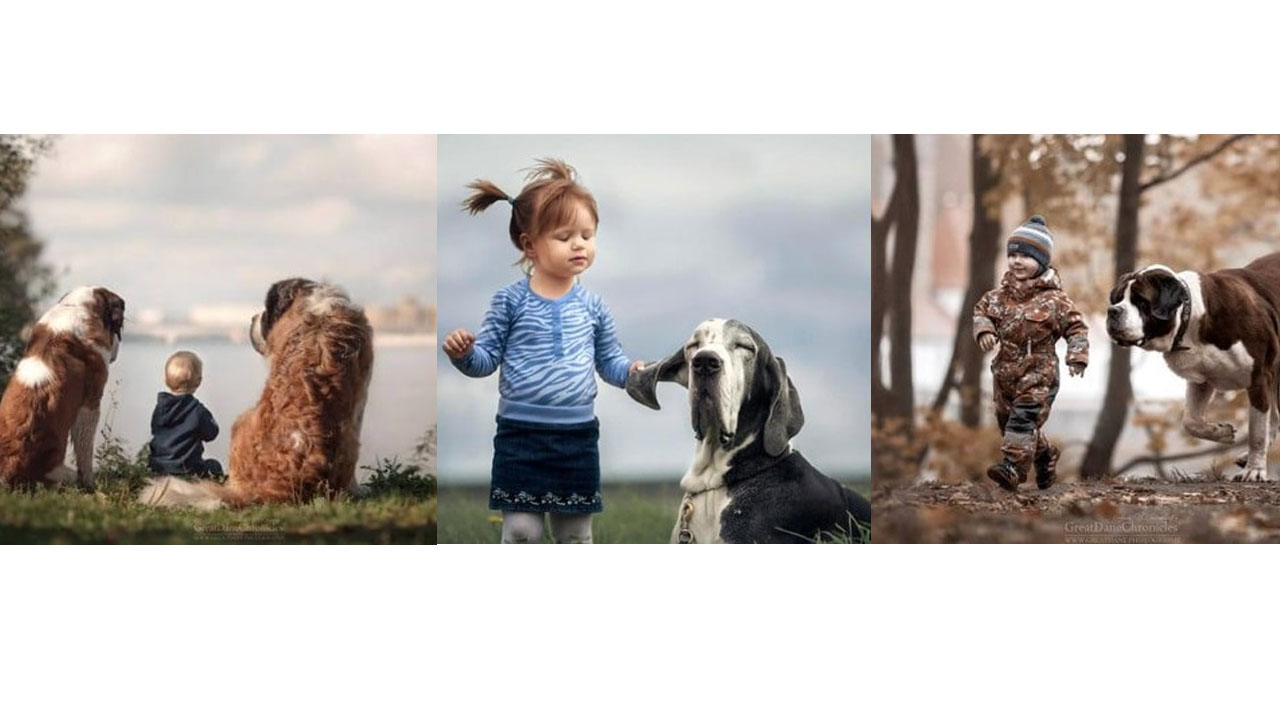 Un fotógrafo se dedicó a capturar momentos que expresaran el amor que existe entre un niño y su perro