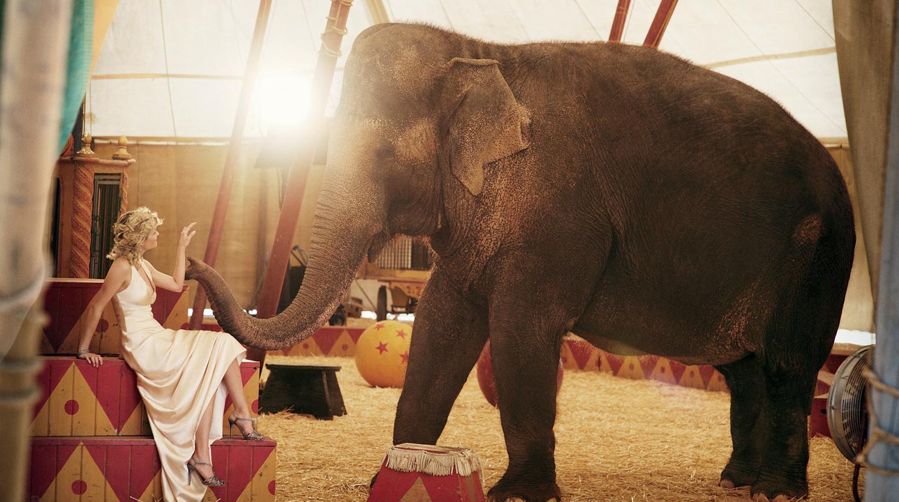 La actriz que protagonizó "Agua para elefantes" tiene un rancho en California donde habitan más de 30 mascotas