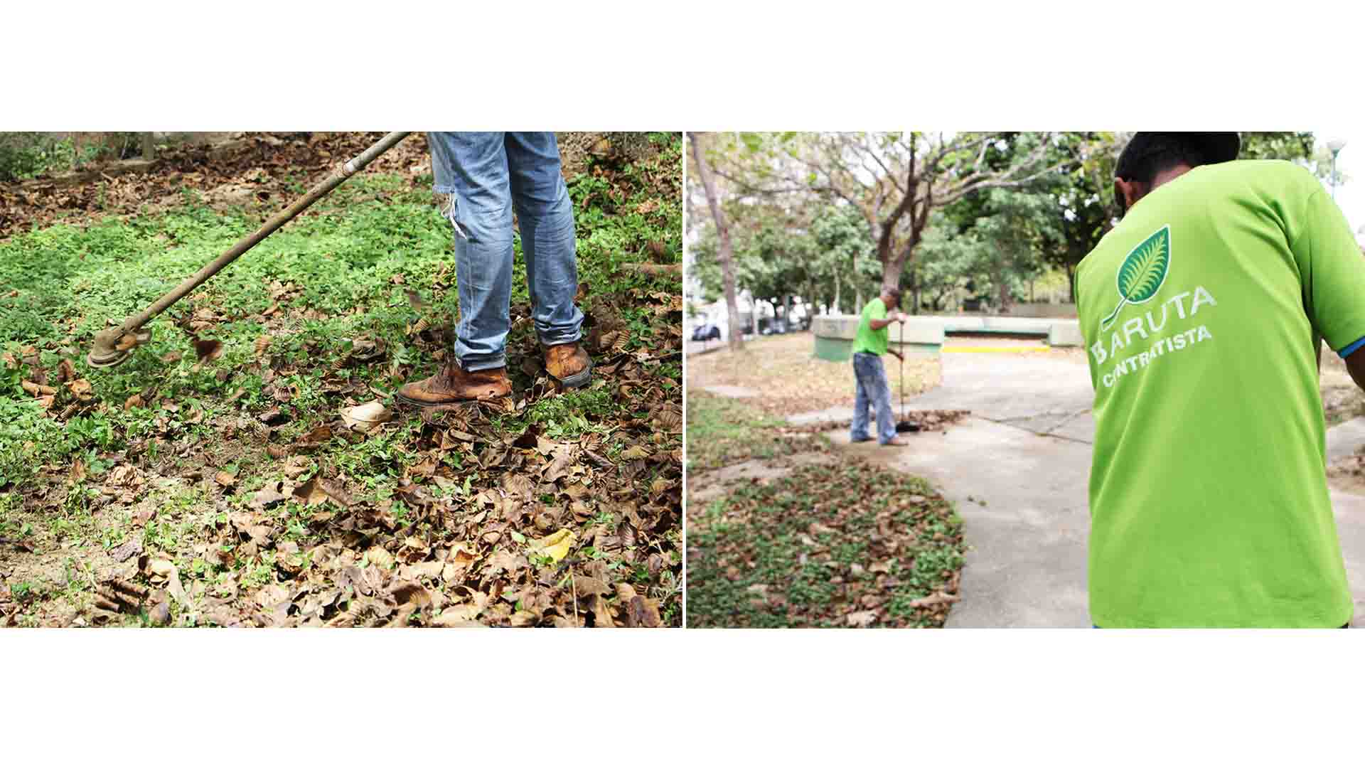 La Alcaldía del municipio por medio del departamento Áreas Verdes llevará a cabo el programa de desmalezado, poda y limpieza de parques y sectores de la localidad