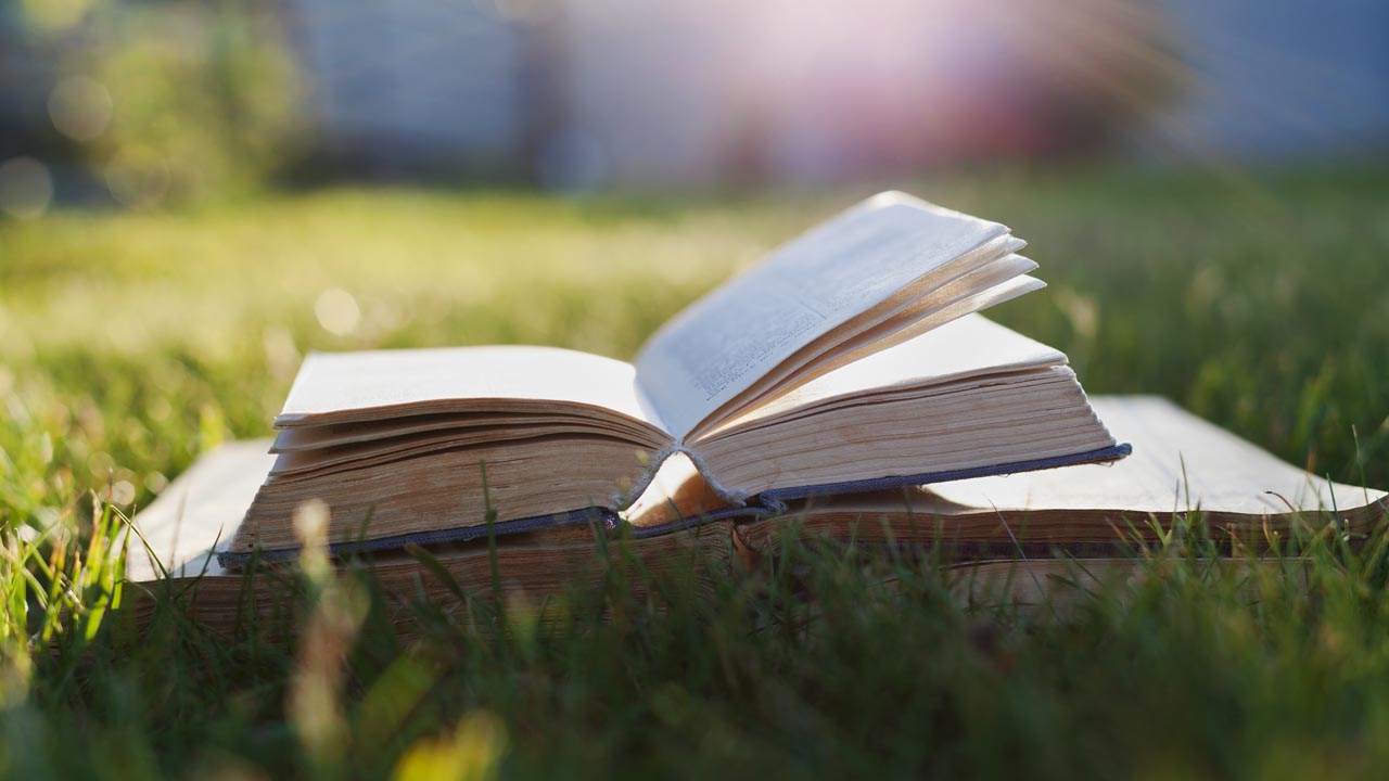 Desde la Universidad de Yale aseguran que las personas que tienen el hábito de la lectura pueden alargar su vida unos dos años más