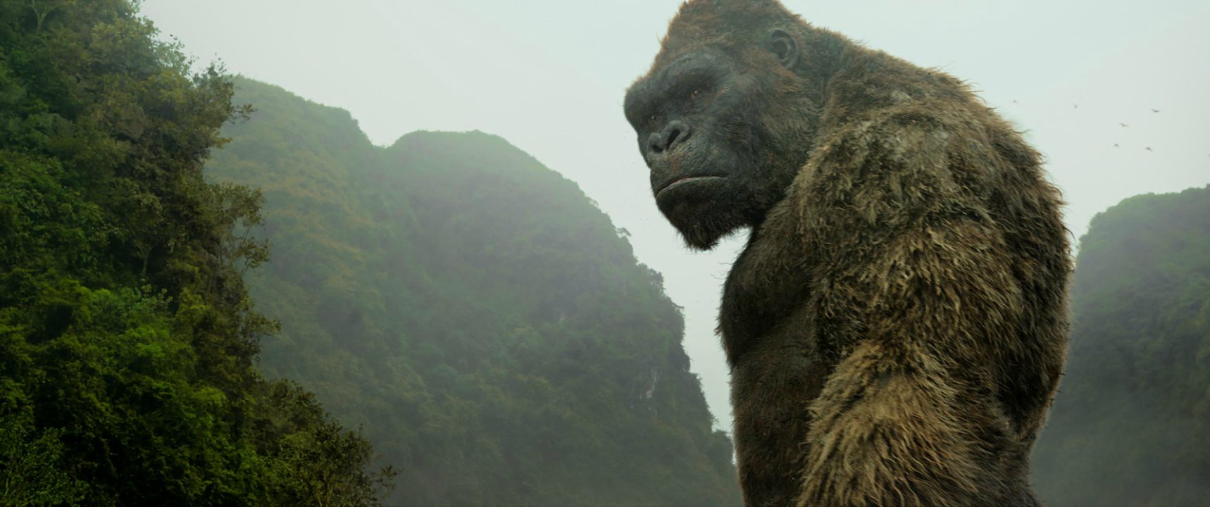 Los fanáticos podrán disfrutar de una serie de historietas llamada “Skull Island: Birth of Kong” que narrará lo sucedido luego del último film
