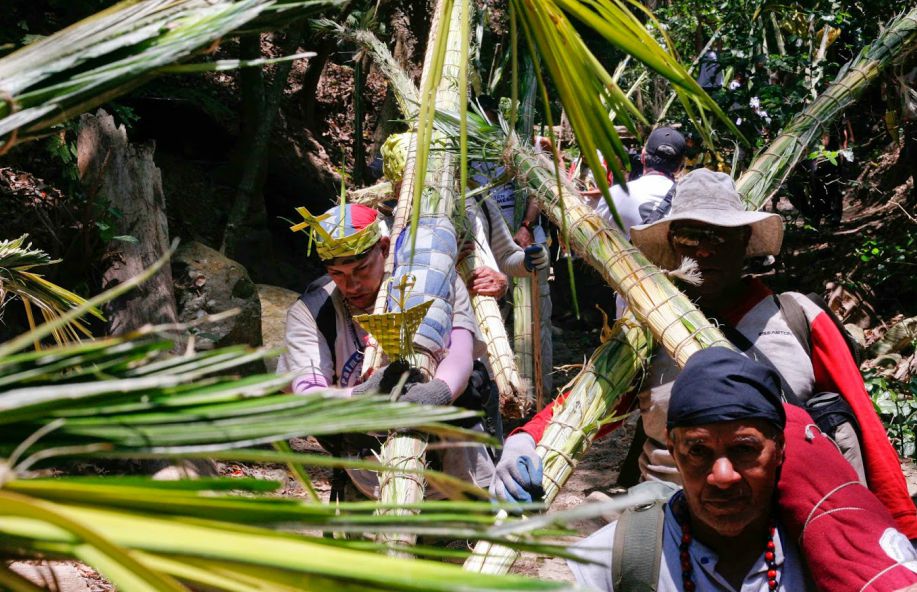 La organización cumplió una vez más con la tradición que data desde 1778 bajando un total de 700 palmeras