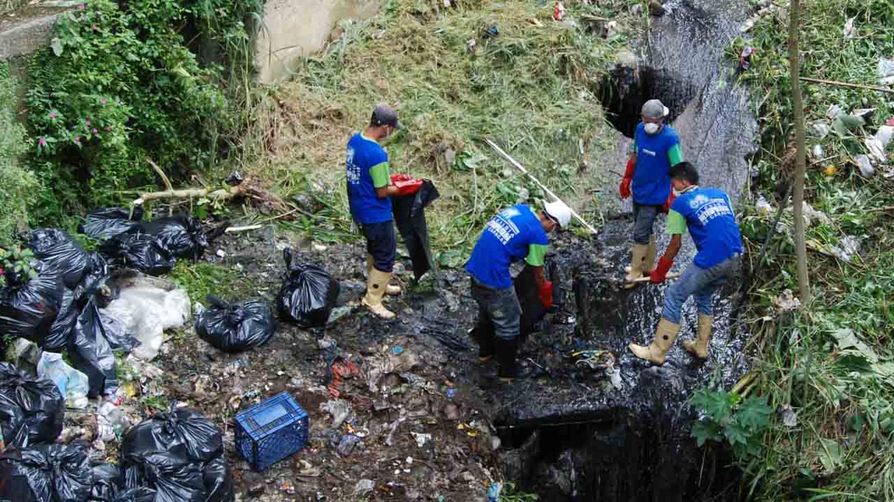 La Fundación para la Conservación Metropolitana de Caracas (FUNCOME) inició los servicios de mantenimiento y saneamiento ambiental