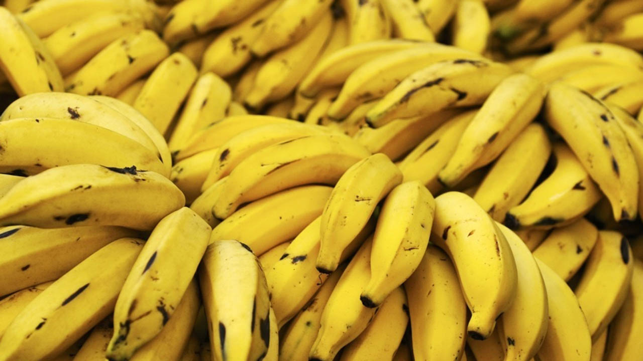 El Plátano cura el evenjecimiento
