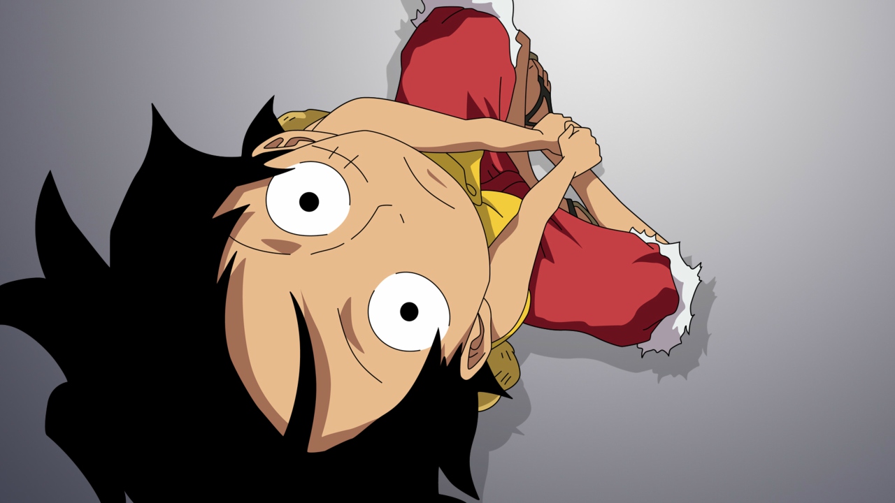 Durante 796 capítulos, han ocurrido un sin fin de aventuras entre Luffy y sus amigos