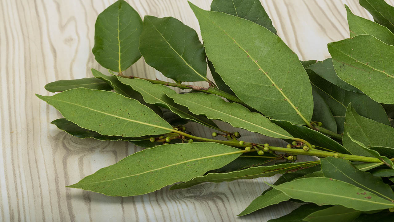 Las hojas de laures, los "palitos" de canela, el extracto de vainilla, entre otras cosas ayudan a desaparecer los malos aromas del hogar