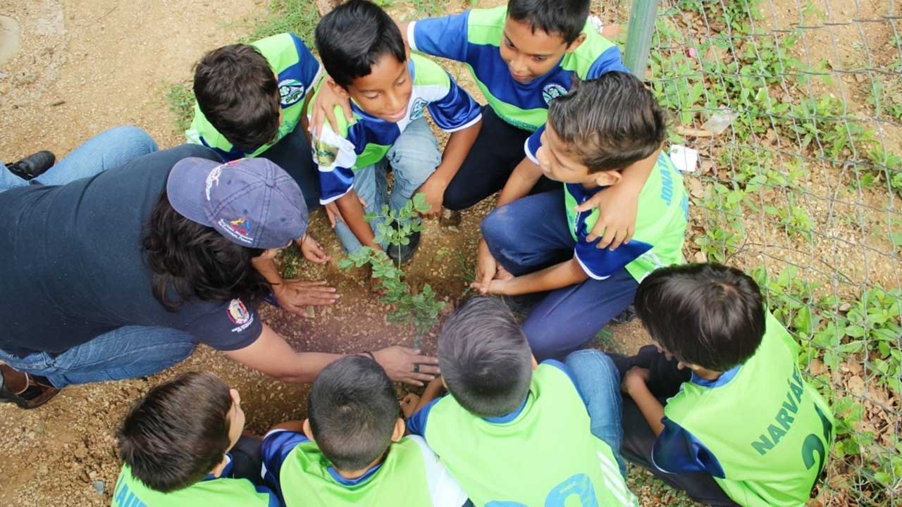 Por cada corredor dos árboles serán plantados tras la Carrera Verde Venezuela que se efectuará en Margarita