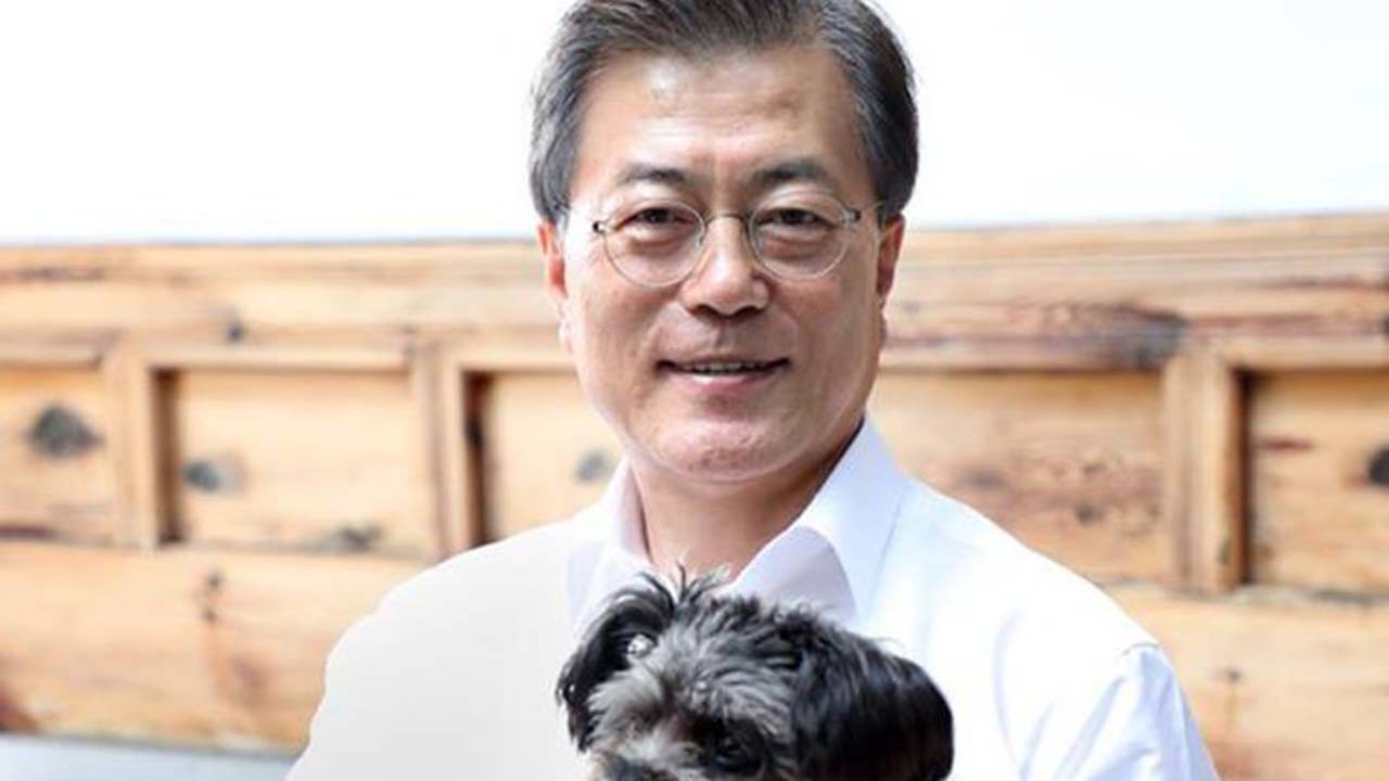 Mandatario coreano adopta perro