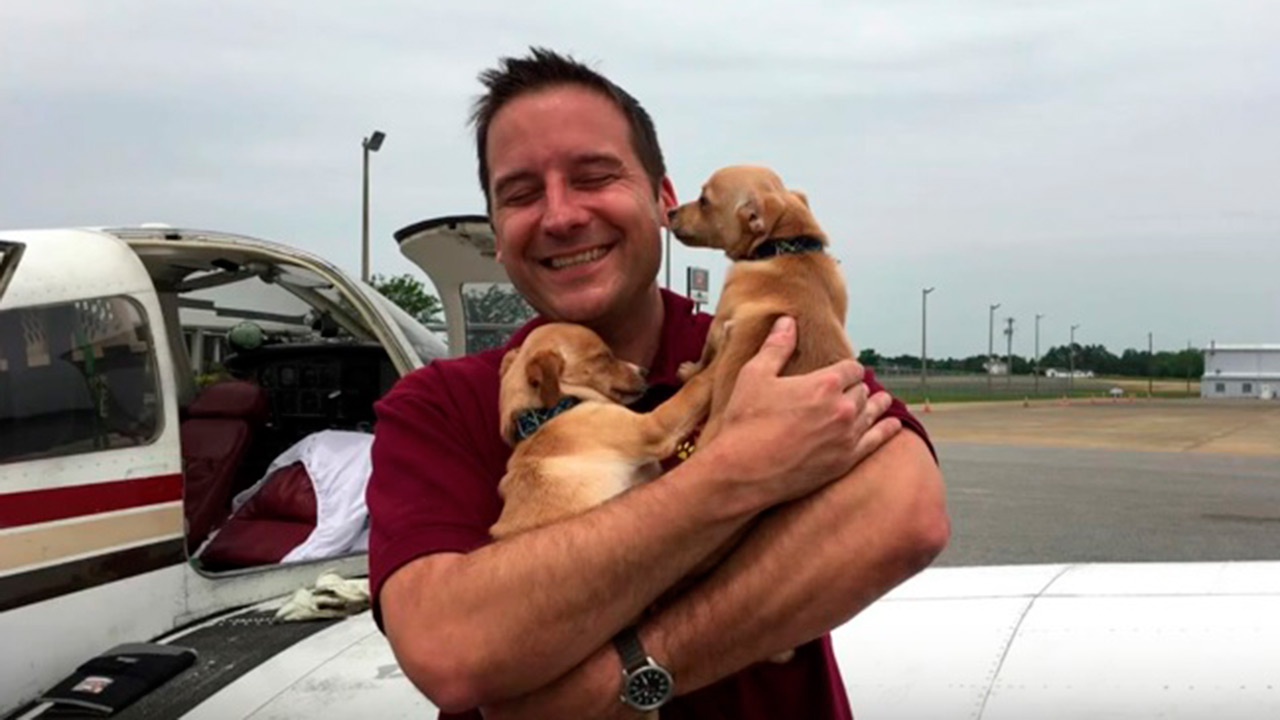 Gracias a su capacitacion aerea, un exmilitar y veterinario estadounidense ha salvado a casi 800 perros