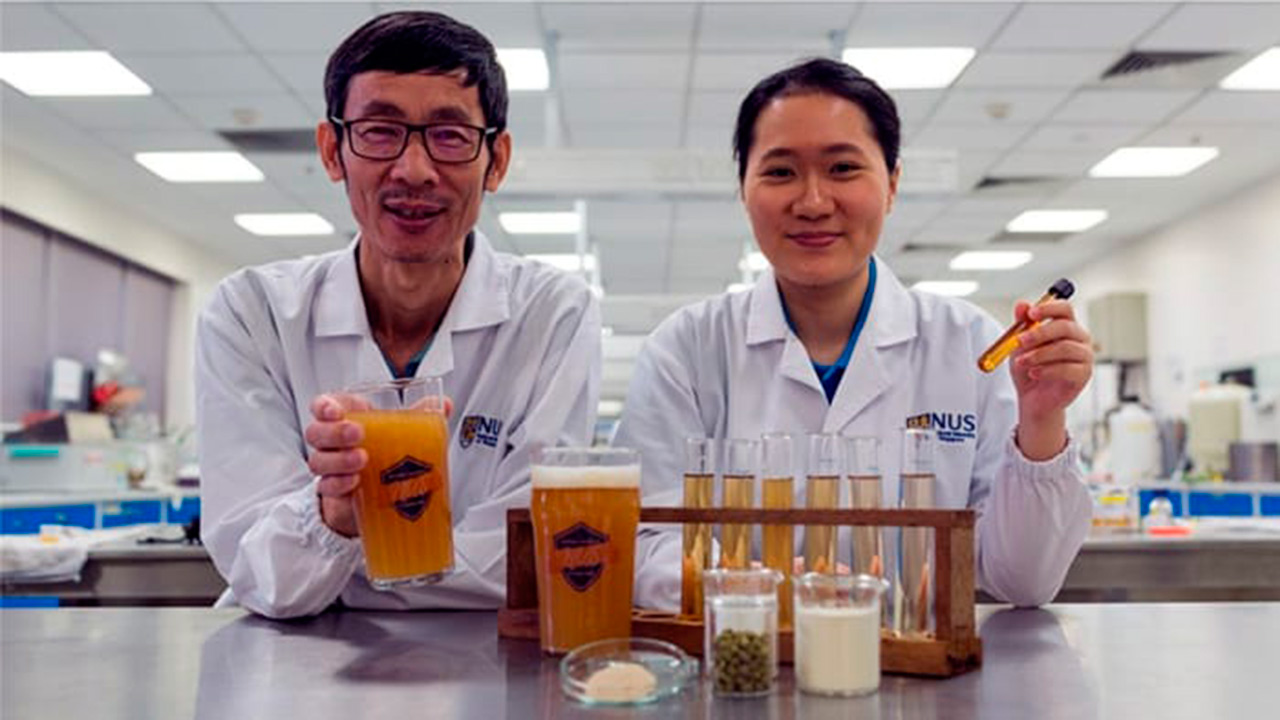 Investigadores de la Universidad Nacional de Singapur desarrollaron la bebida a base de ingrediente probióticos Científicos crean primera cerveza saludable