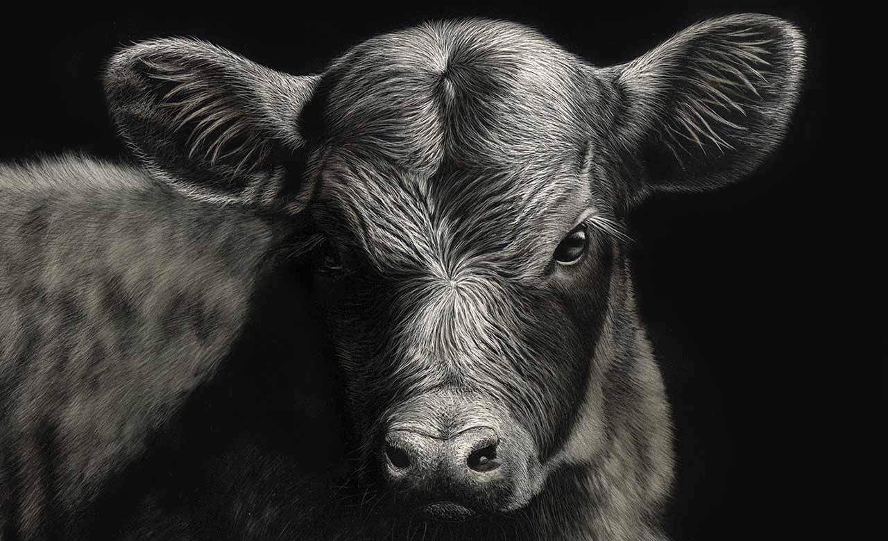 Cathy Sheeter es el nombre de esta artista