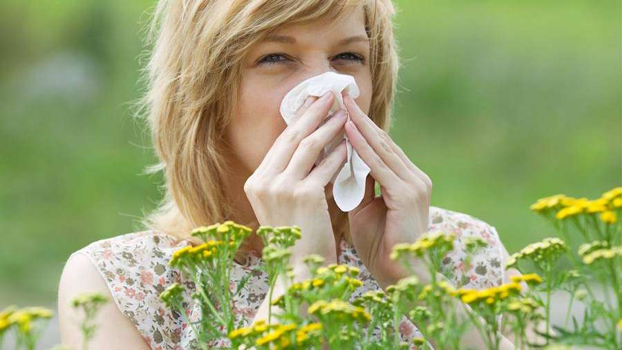 El Sumario - Científicos franceses descubrieron origen de las alergias y el asma