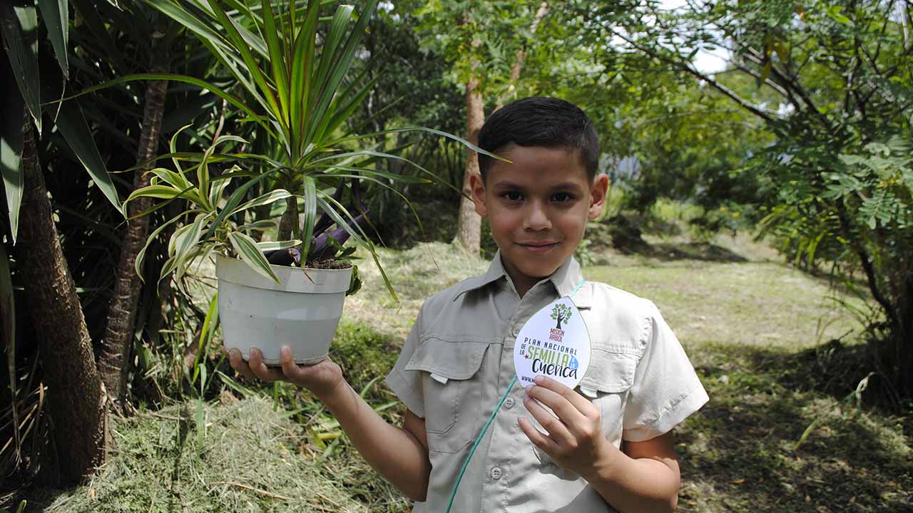 el sumario - Más de 66 mil brigadistas ecosocialistas se encargan de sembrar árboles, fomentar la protección ambiental y educar a los más pequeñas en cuanto al cuidado del ambiente
