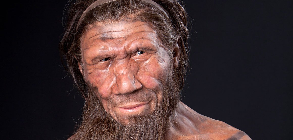 Conoce por qué el hombre de Neandertal tenía una gran nariz