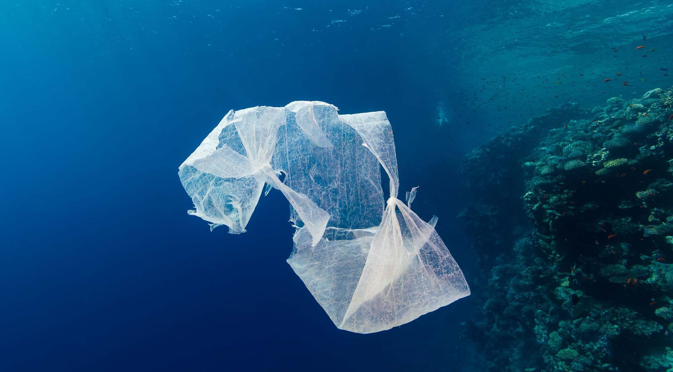 El Sumario - La compañía The New Plastics Economy realizó un video para explicar que en el 2050 habrá plástico en lugar de peces debido a la contaminación