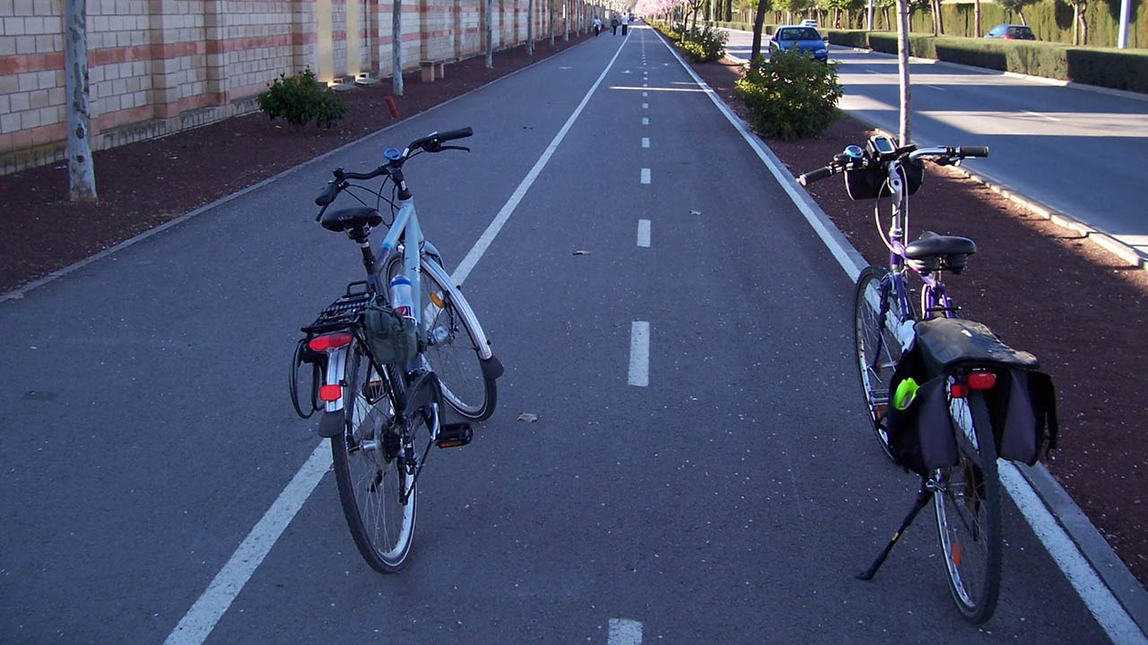 El Sumario - Se trata de un nuevo recorrido que se construyó en la calle Leo-Baeck-Str. de un barrio berlinés donde los ciclistas deberán zigzaguear esquivando árboles