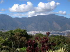 Bosqueterapia en montañas de Caracas