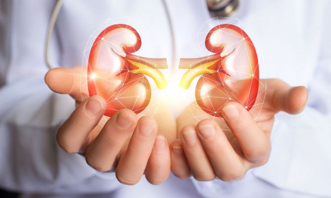 Día de la salud renal - ONTV