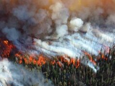 Registran Humo de los Incendios Forestales de Siberia en Alaska