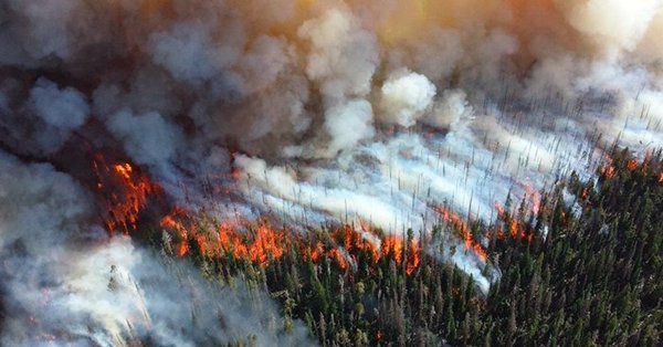 Registran Humo de los Incendios Forestales de Siberia en Alaska