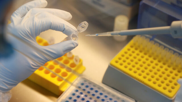 Organización Mundial de la Salud informó que vacuna Rusa debe de cumplir todas las fases de testeo